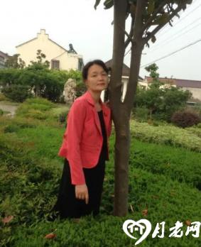 沪籍淑女