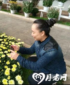 柠檬