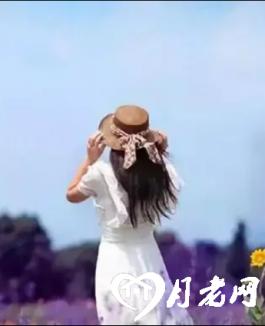 春天燕子