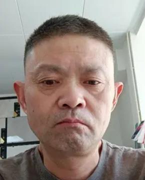 蚁力