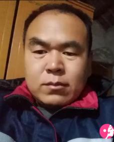 孤雁南飞